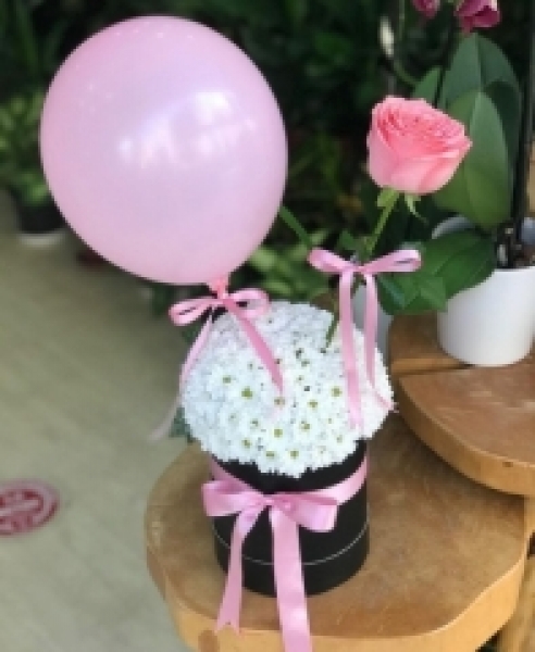 SİLİNDİR KUTU PAPATYA