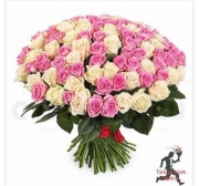 101 gül pembe beyaz