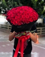 101 GÜL