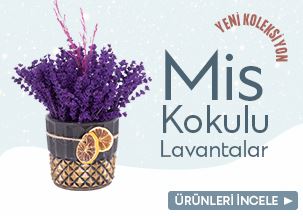 Öneçıkan Ürün